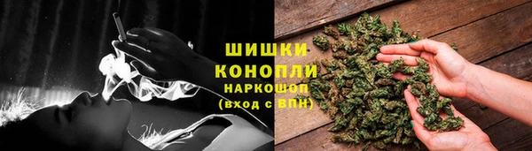 шишки Нефтегорск