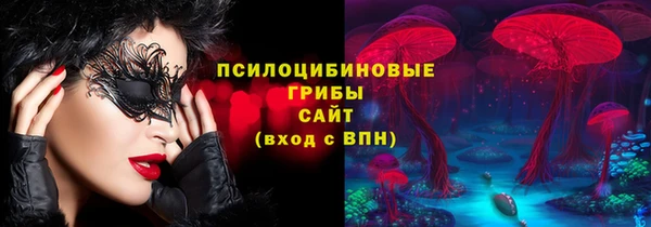 шишки Нефтегорск