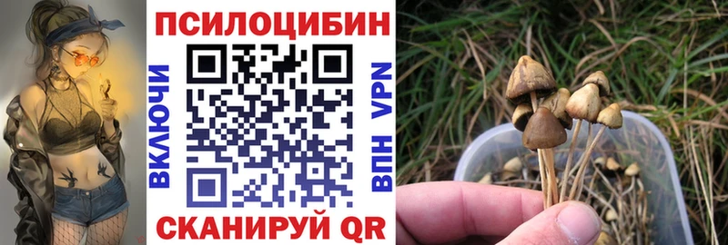 Галлюциногенные грибы мухоморы  дарнет шоп  Полярный 