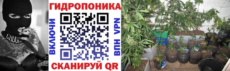 купить  сайты  Полярный  Шишки марихуана THC 21% 